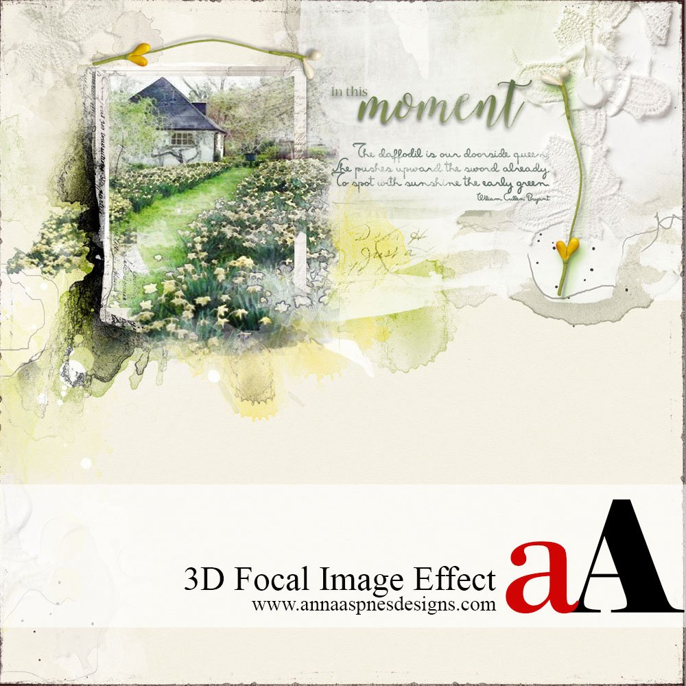 Enhance a Focal Image with a 3D Effect