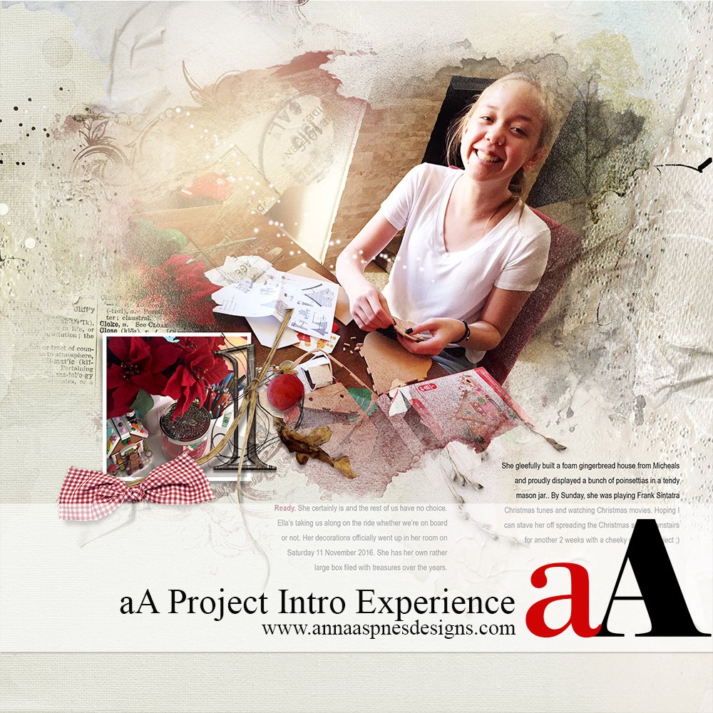 aA Project Intro Experience