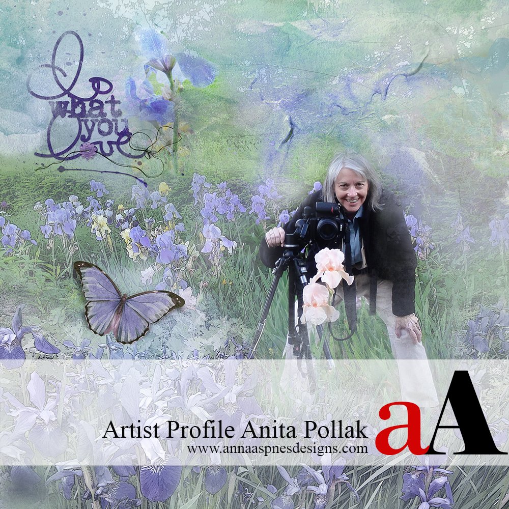 Artist Profile Anita Pollak