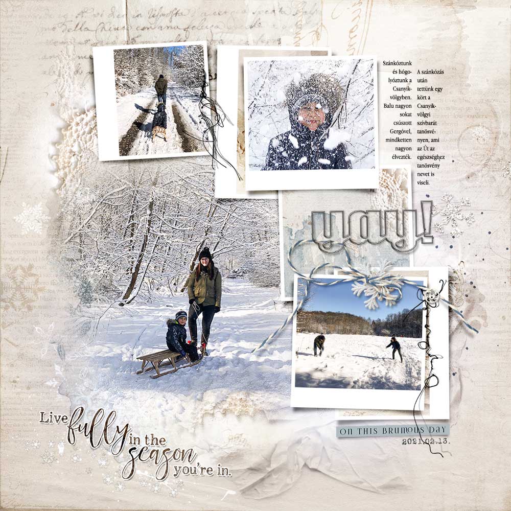 ArtPlay Brumal Collection Snowy Day Digital Scrapbook and Photo Artistry Page Inspiration by Dorina Petrovics