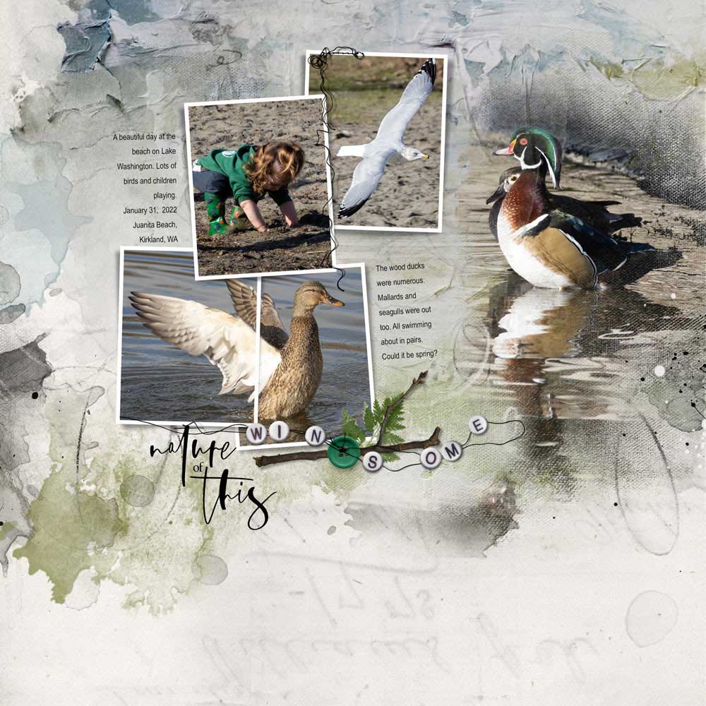 Anna Aspnes Designs ArtPlay Heath Collection Ducks Digital Scrapbook and Photo Artistry Page by Kathy Sacry