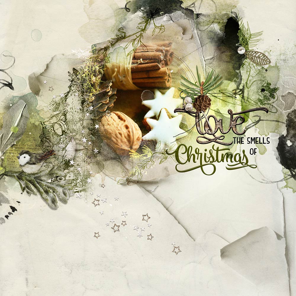 Digital Designs Inspiration Mistletoe