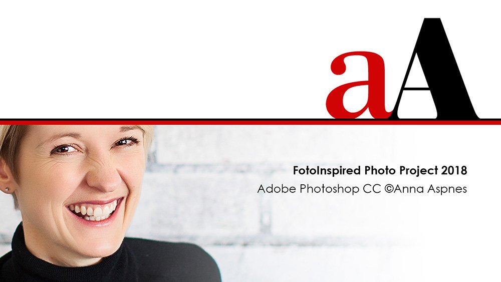 FotoInspired 2019 Update - Anna Aspnes Designs