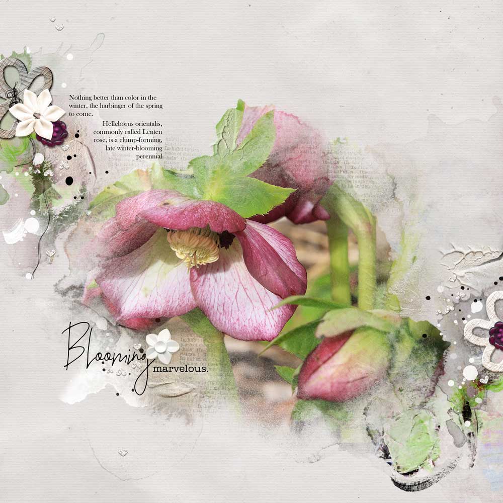 Anna Aspnes Designs ArtPlay Sirenic Collection Flower Digital Scrapbook and Photo Artistry Page Inspiration by Kathy Sacry