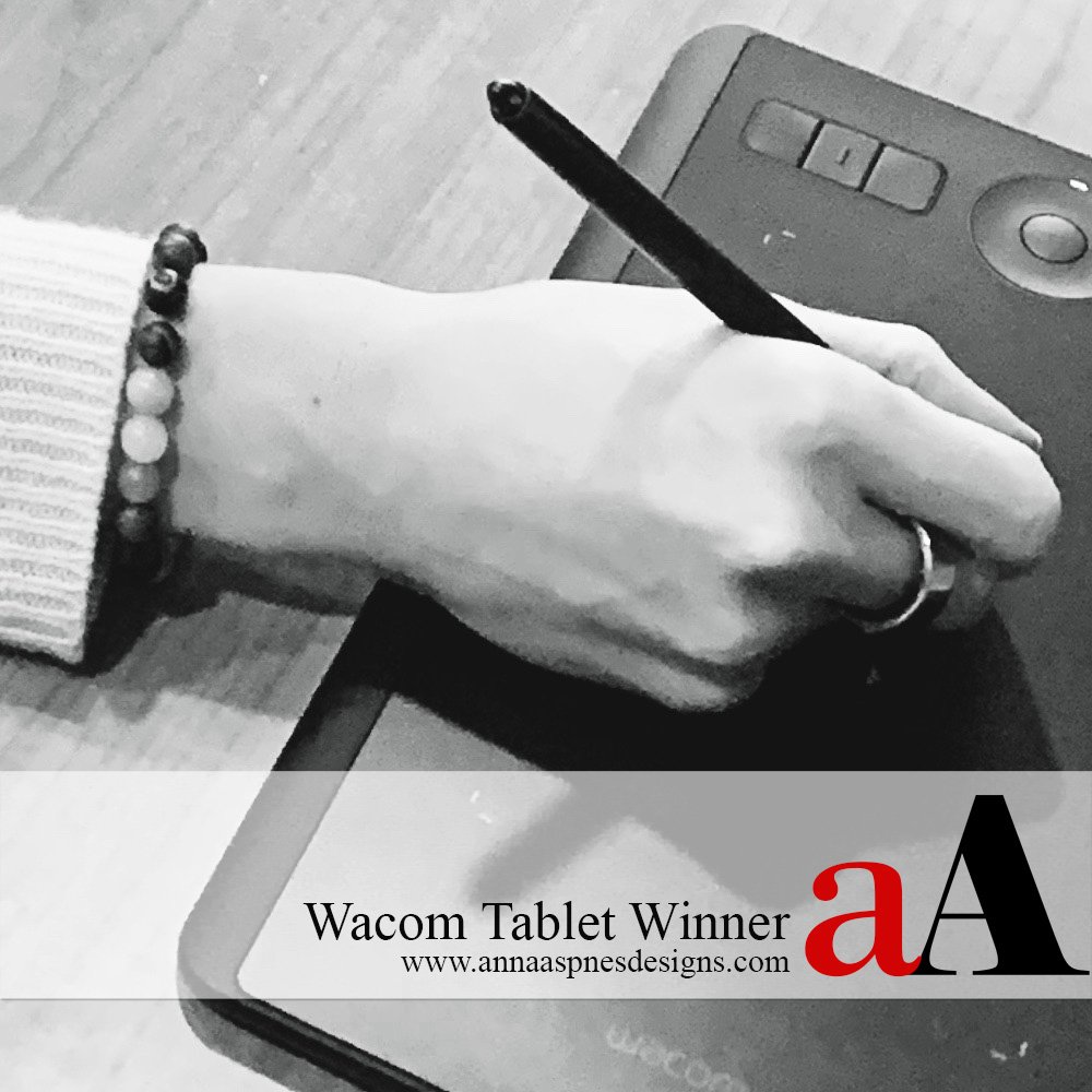 Wacom Tablet Winner