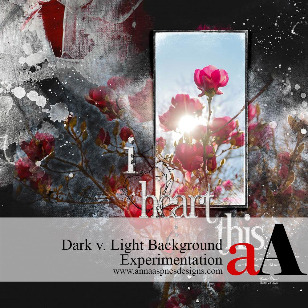 Light v. Dark Background Experimentation