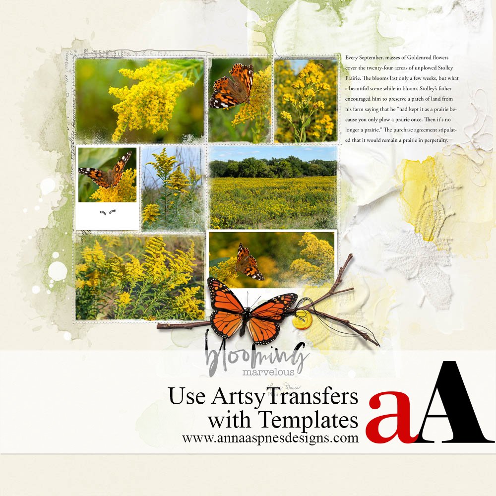 Use ArtsyTransfers with Templates