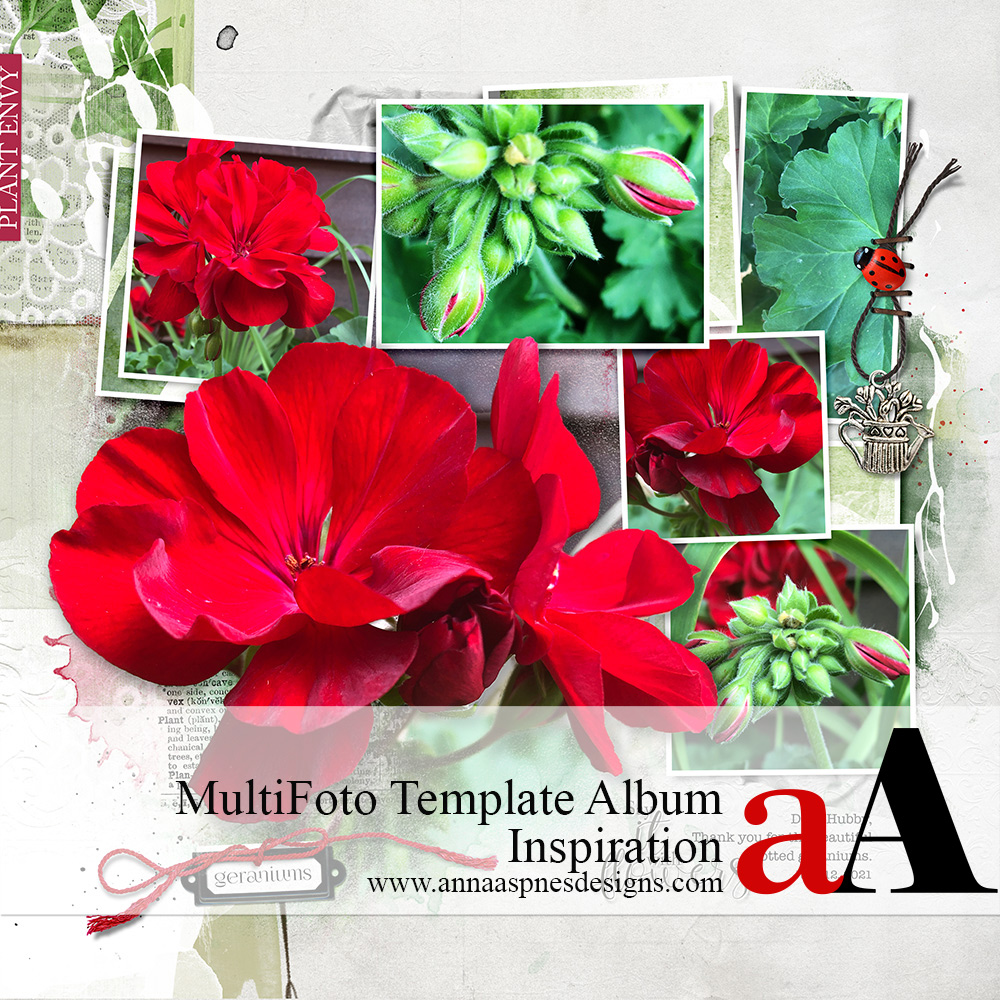 MultiFoto Template Album Inspiration