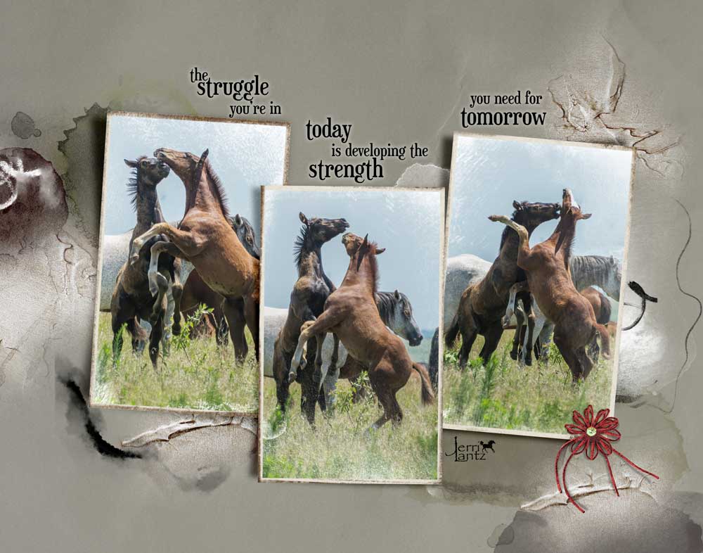 ArtPlay Anaphora Collection Horses Struggle Digital Scrapbook and Photo Artistry Page Inspiration by Jerri Lantz