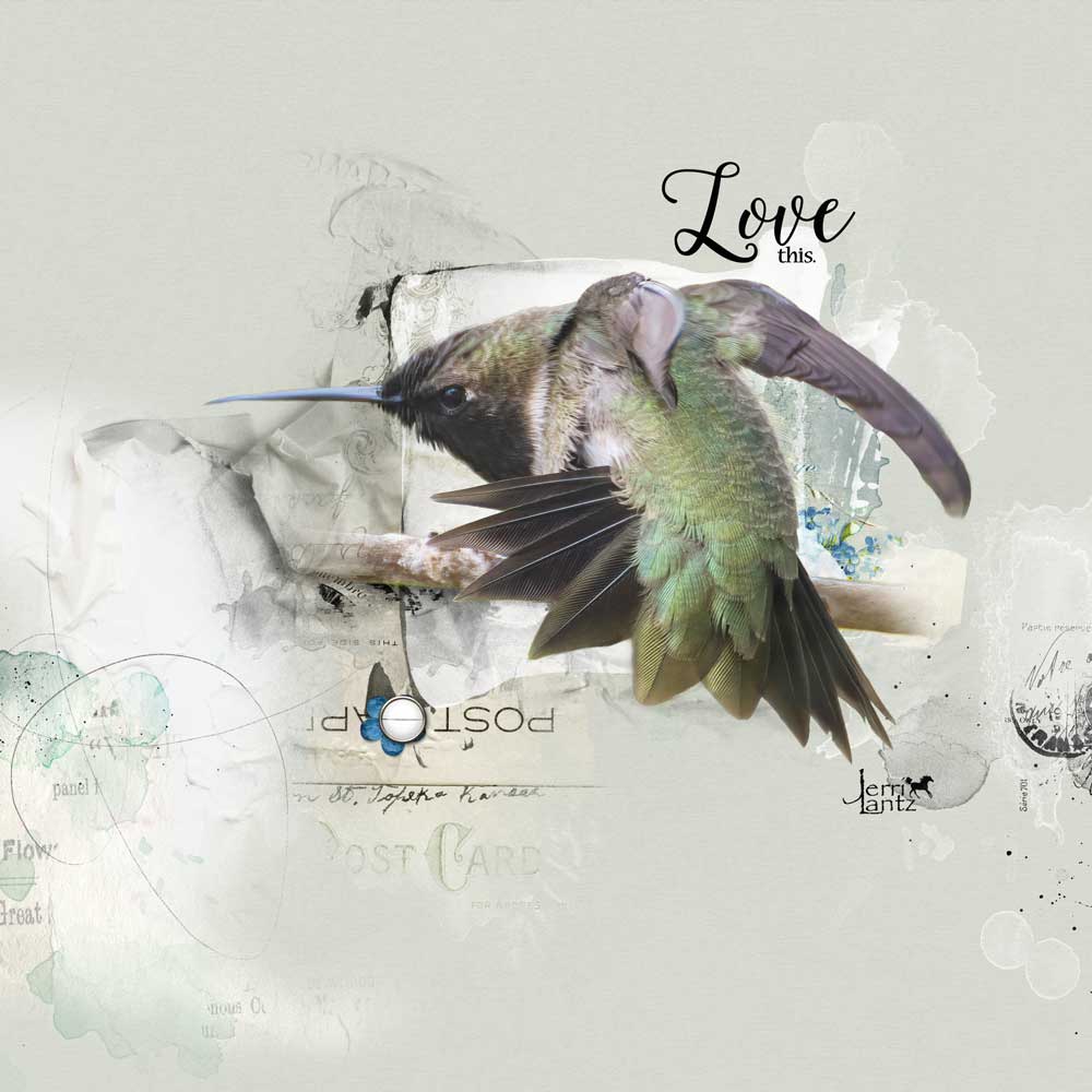 Anna Aspnes Designs ArtPlay Arrive Collection Love This Bird Photography Digital Scrapbook and Photo Artistry Page Inspiration by Jerri Lantz