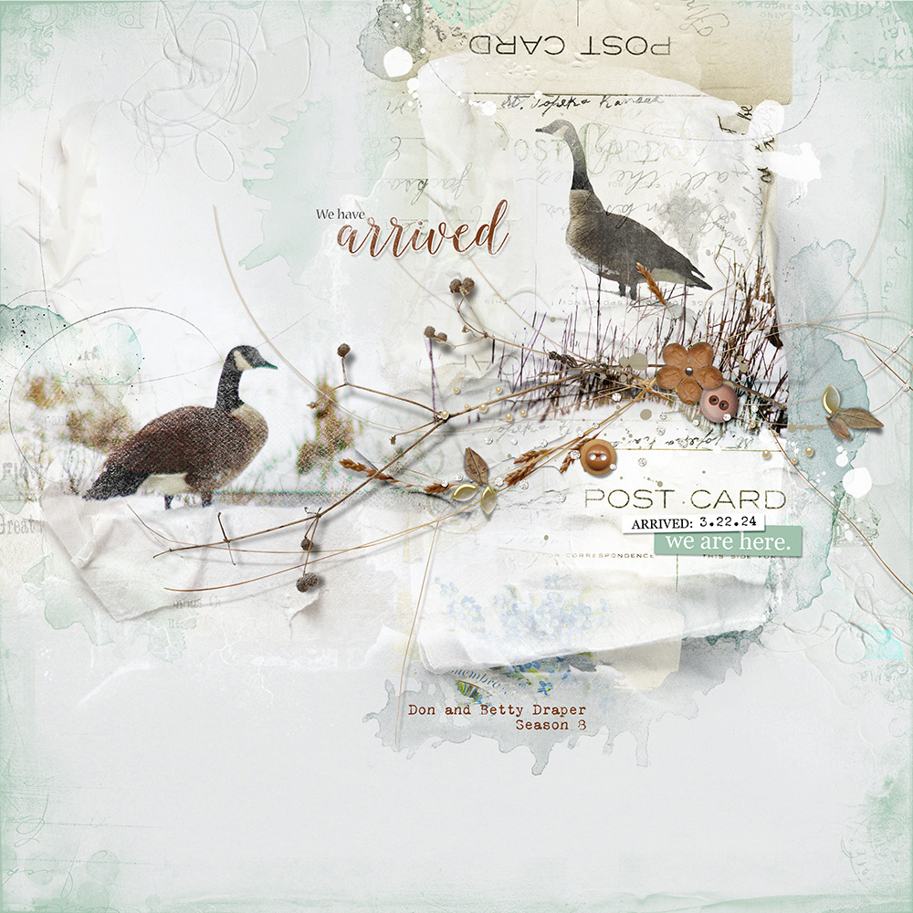 Anna Aspnes Designs ArtPlay Arrive Collection We Have Arrived Bird Photography Digital Scrapbook and Photo Artistry Page Inspiration by Miki Krueger