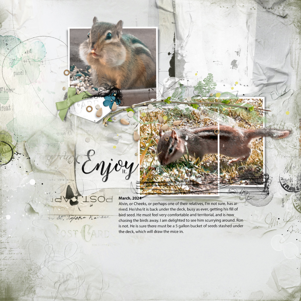 Anna Aspnes Designs ArtPlay Arrive Collection Chipmunk Animal Photography Digital Scrapbook and Photo Artistry Page Inspiration by Susan Lacy