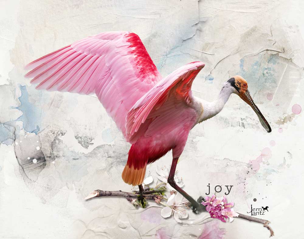 Anna Aspnes Designs ArtPlay Sashay Collection Joy Bird Photography Digital Scrapbook and Photo Artistry Page by Jerri Lantz