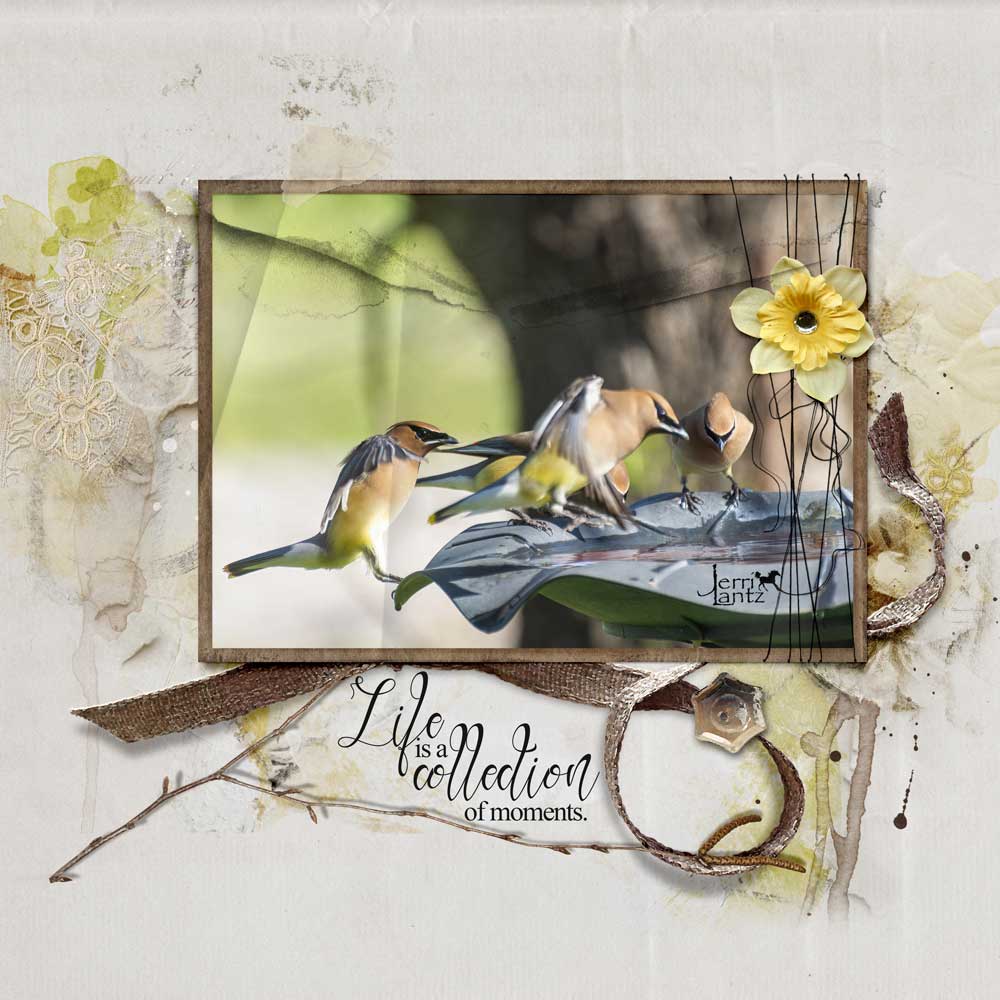 Anna Aspnes Designs ArtPlay Narcissus Collection Life Bird Photography Digital Scrapbook and Photo Artistry Page Inspiration by Jerri Lantz