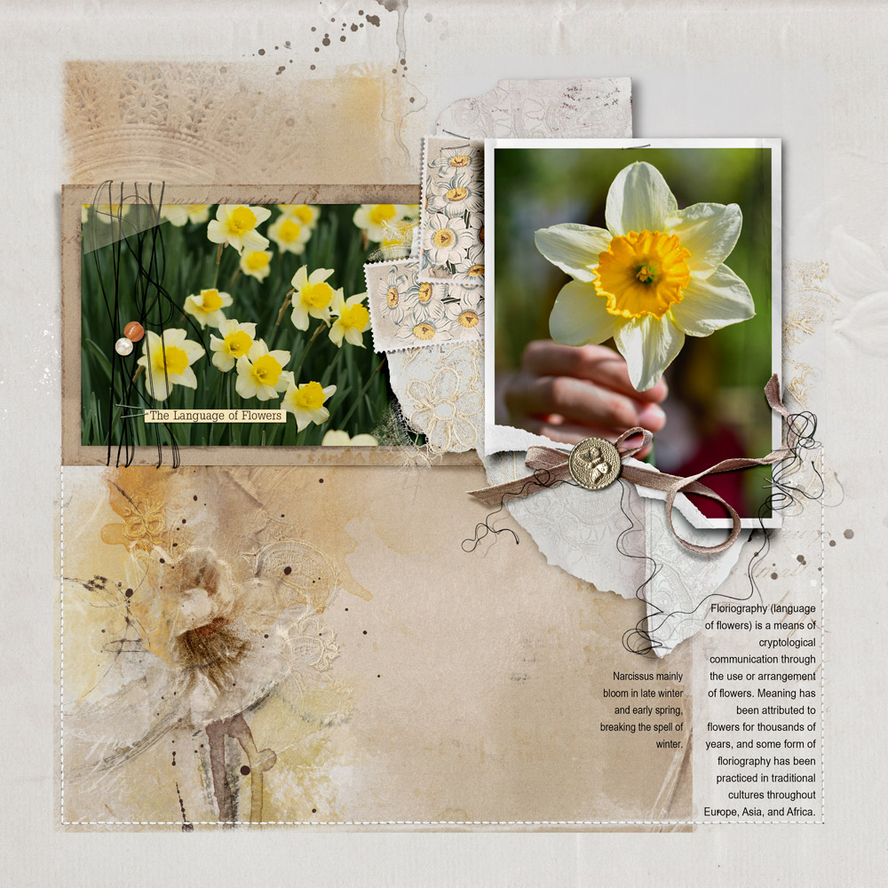 Anna Aspnes Designs ArtPlay Narcissus Collection Language of Flowers FotoInspired Digital Scrapbook and Photo Artistry Page Inspiration by Kim Pay