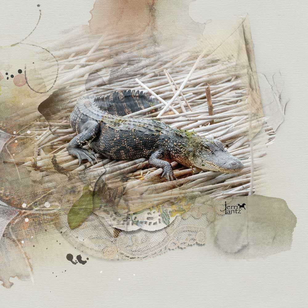 Anna Aspnes Digital Scrapbook ArtPlay Inspiration Feuillemort Jerri Lantz Alligator Layout